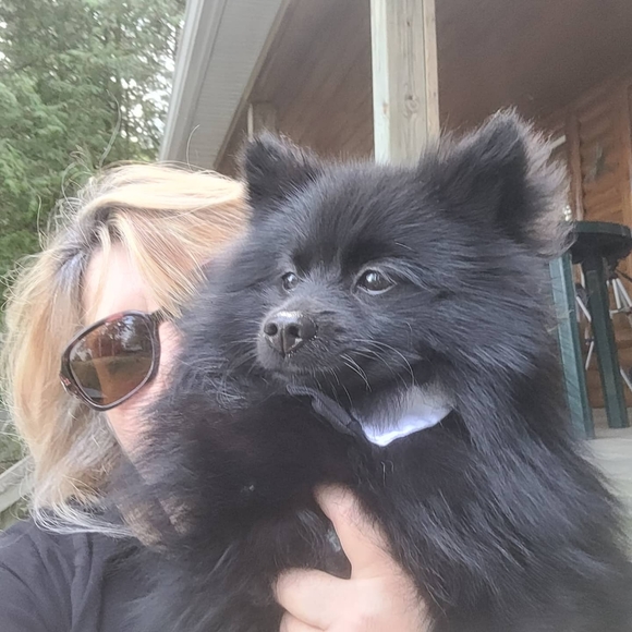 Meet your Posher, Linda - Picture 1 of 1